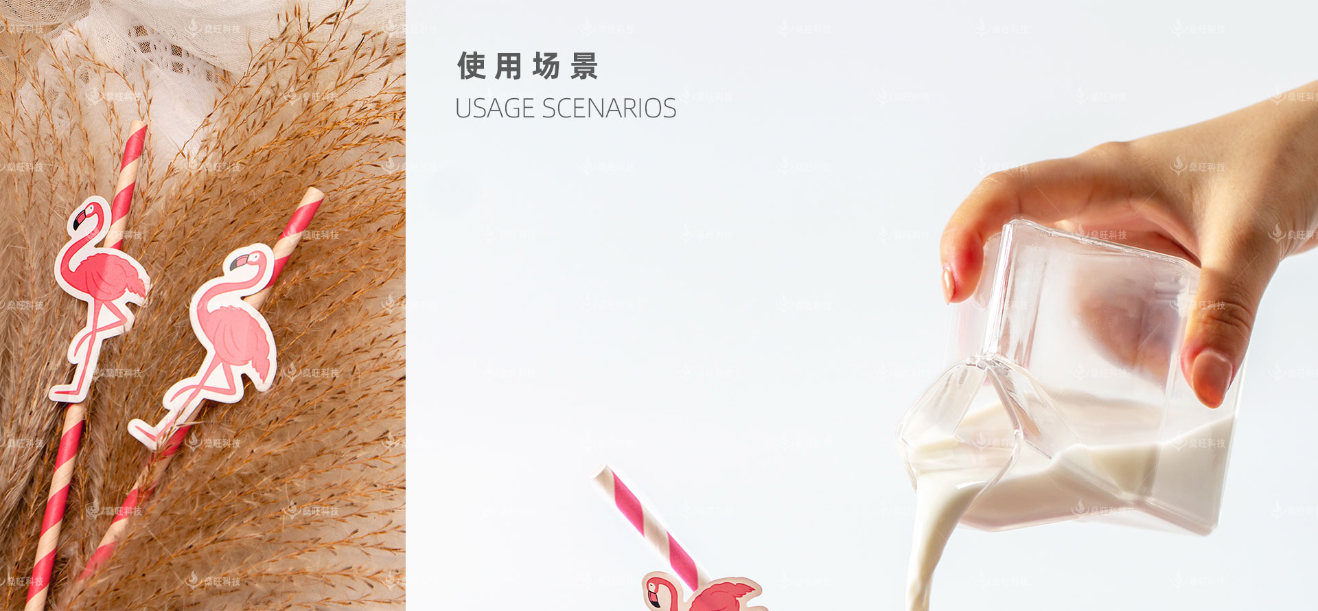 网站-2产品介绍-07彩色贴纸环保卡通吸管_11.jpg