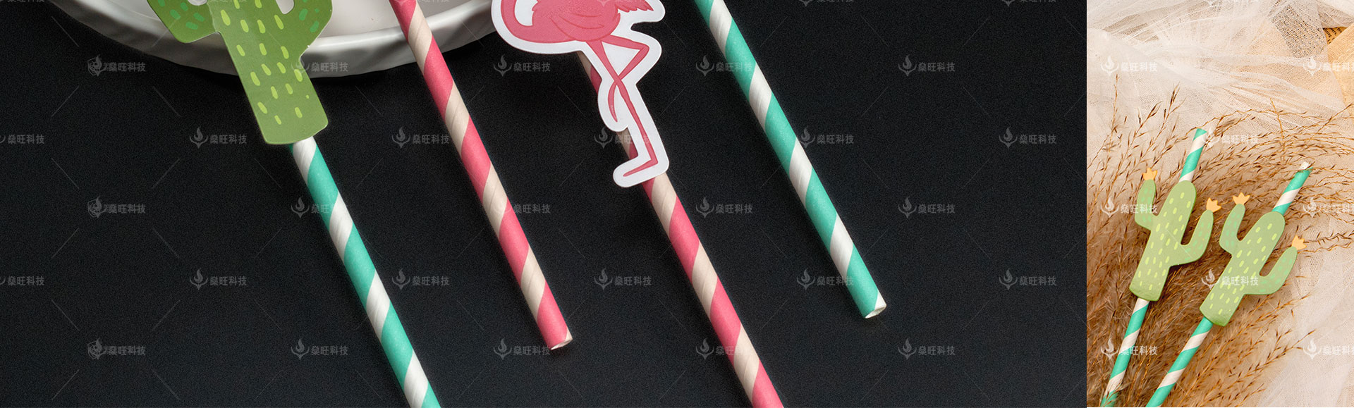 网站-2产品介绍-07彩色贴纸环保卡通吸管_14.jpg